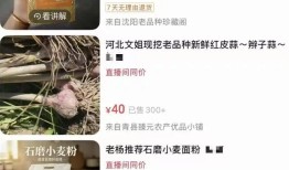 百万粉丝网红诋毁袁隆平成果遭官媒痛批仍放话 “大不了就进去”账号被永久封禁